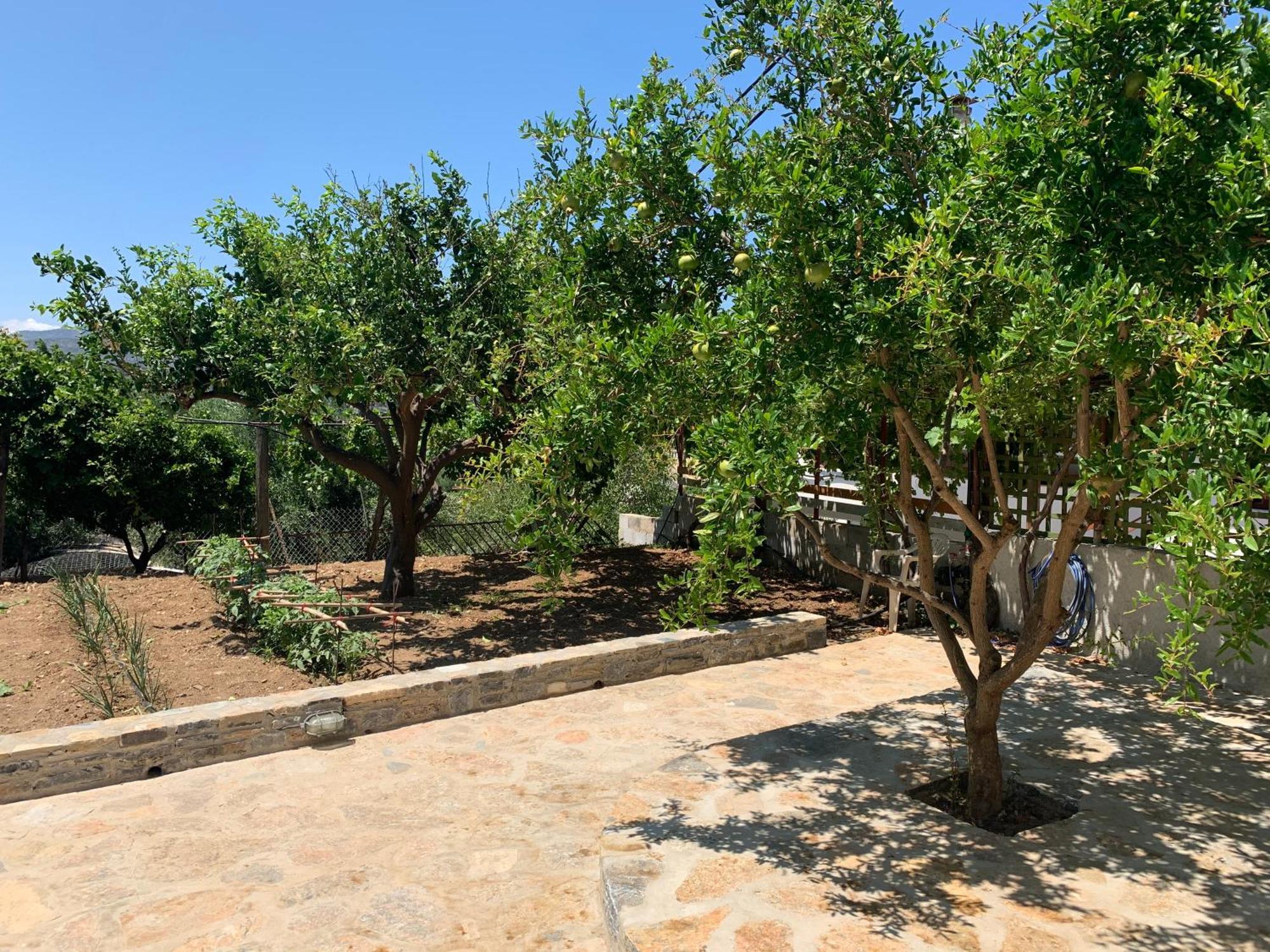Gioma Garden Villas Istron Exterior foto